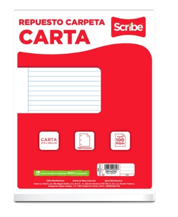 HOJAS PARA CARPETA SCRIBE RAYA CARTA 100HJS